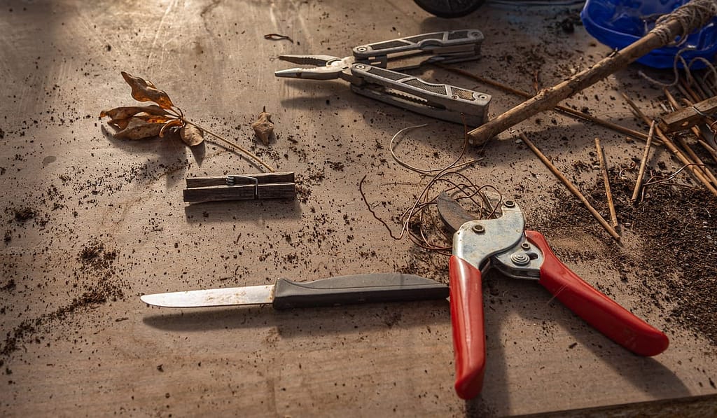 Pruning Tools
