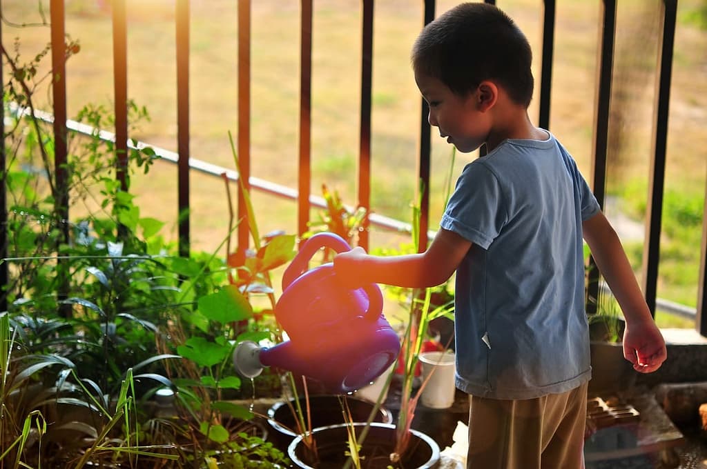 Oxygen plant care