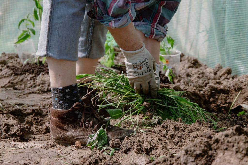 Process of Creating Different Types of Compost