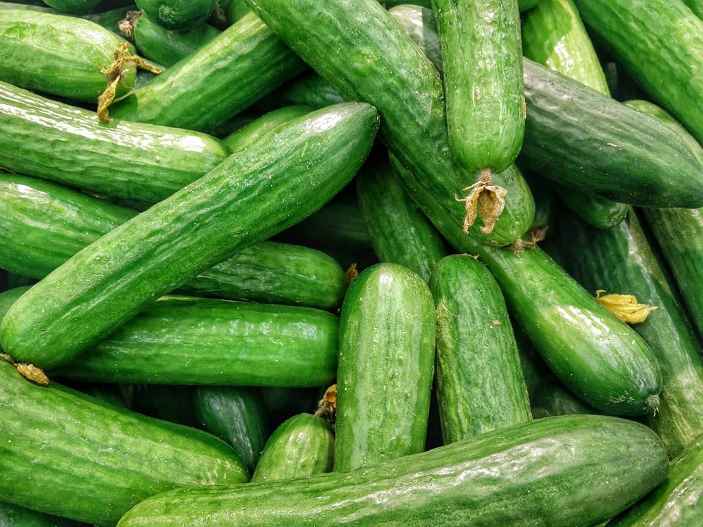 Burned Cucumber Skins