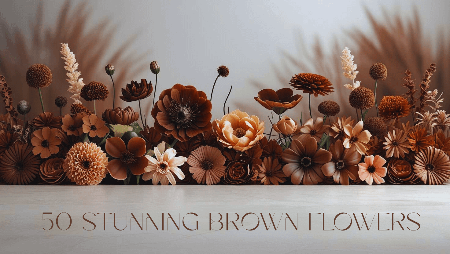 50 Stunning Brown Flowers: Unique Brown Flowering Plants for Your Garden & Home