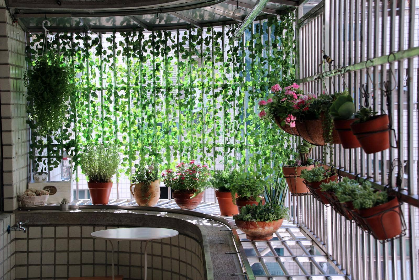 Brighten Your Home with 17 Top Indoor Hanging Plants That Maximize Vertical Space
