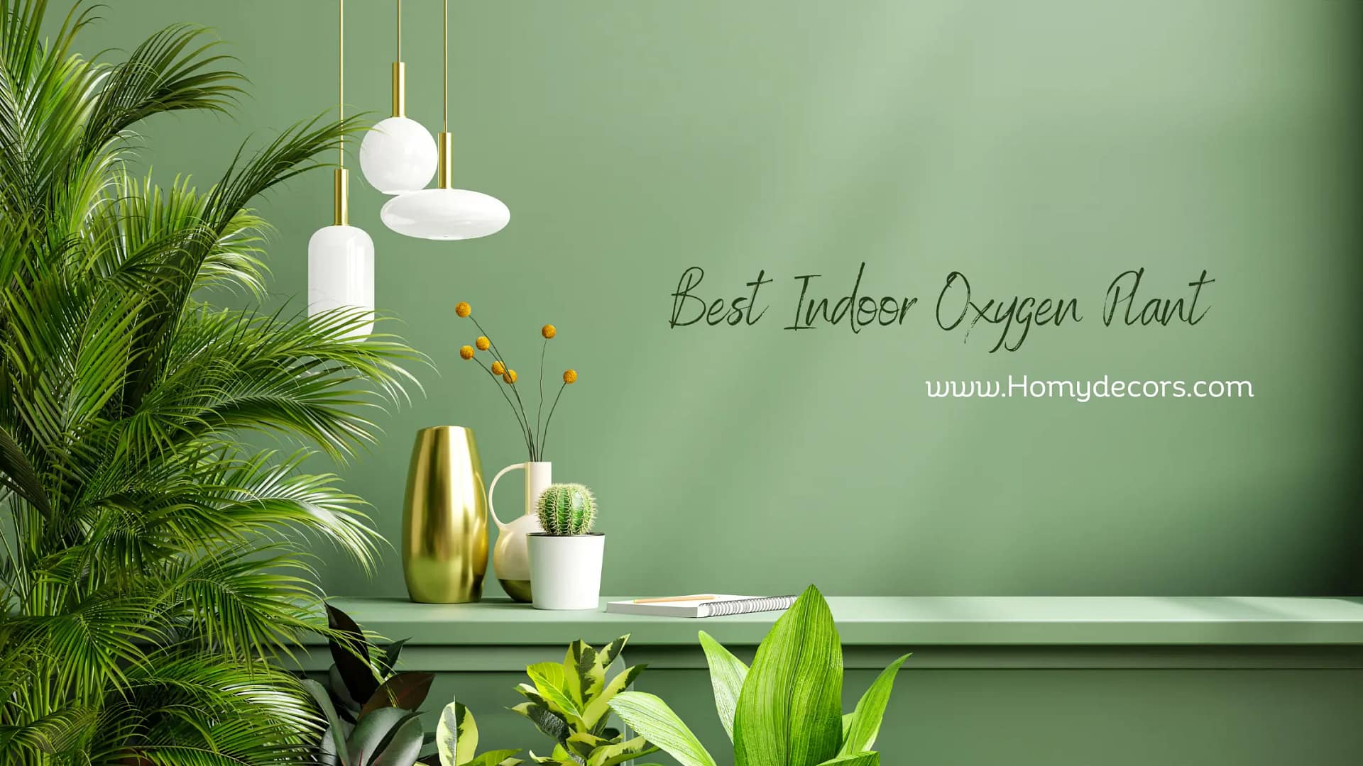 Oxygen Plant: An Indoor Gardening Trend You Need to Try