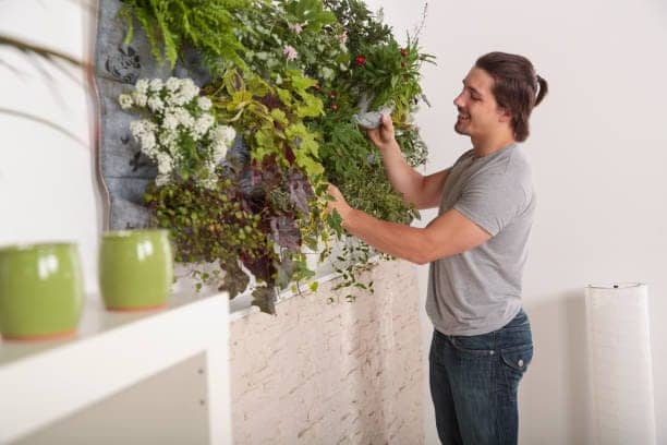 DIY Vertical garden