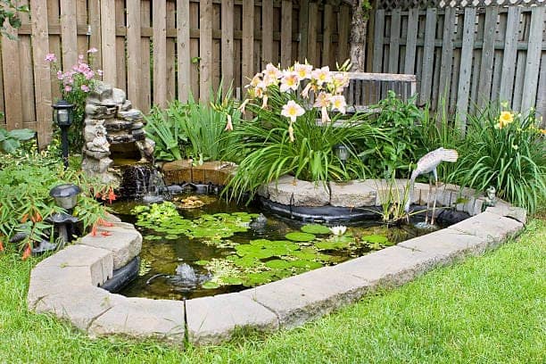 DIY garden pond