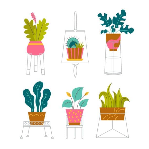 Types of Indoor plant stand