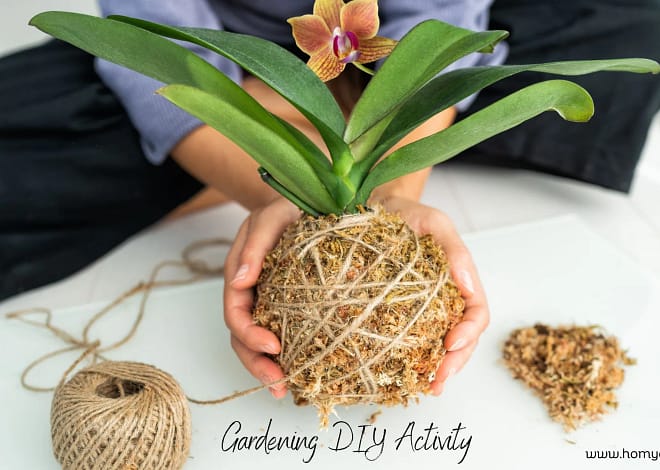 7 Weekend Gardening DIY Activities: Get Your Hands Dirty and Unleash Your Green Thumb!