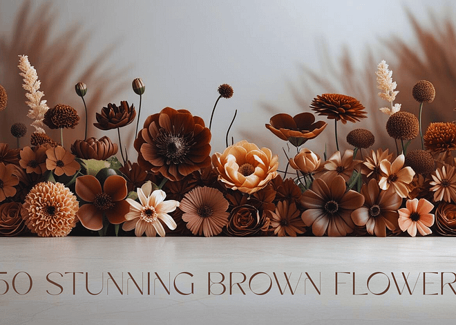 50 Stunning Brown Flowers: Unique Brown Flowering Plants for Your Garden & Home