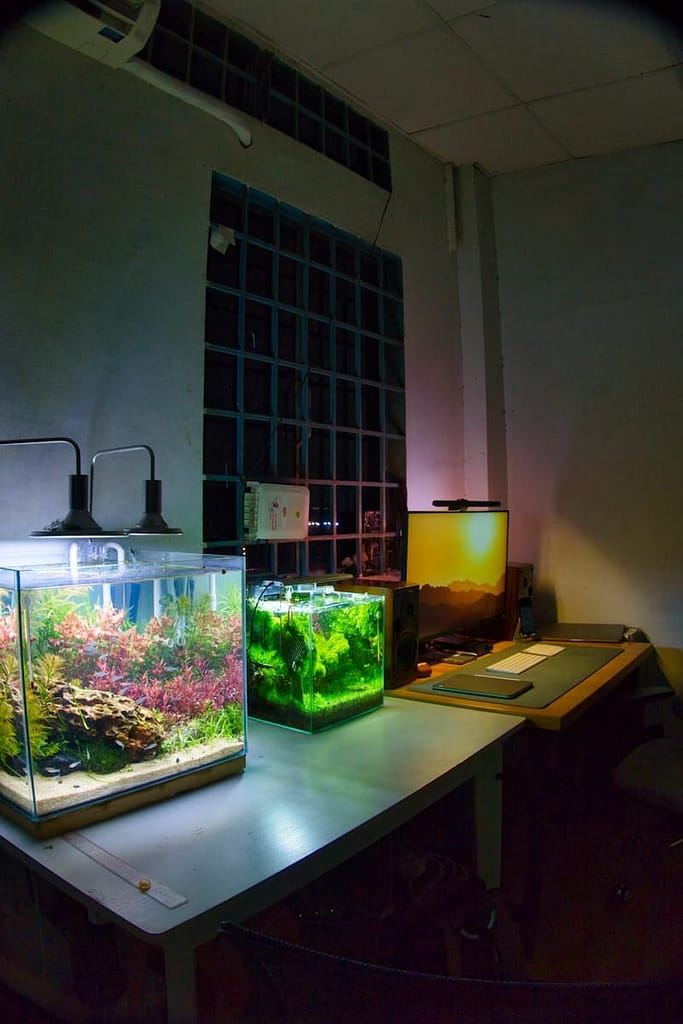 aquarium