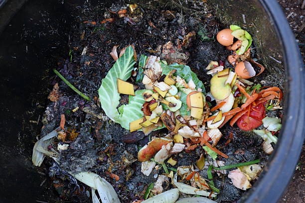 DIY Compost Bin