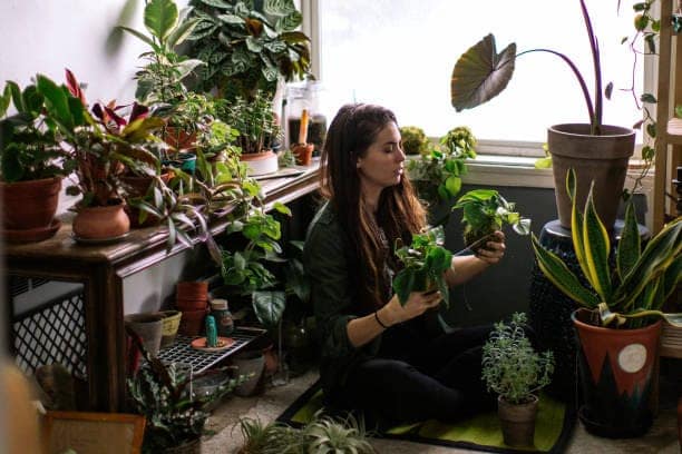 Indoor oxygen plants