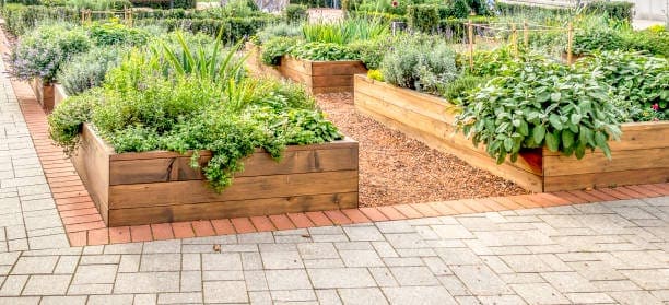 DIY Raised Bed