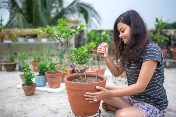 Weekend gardening DIY activities