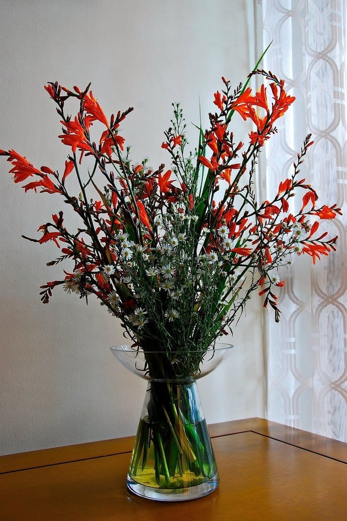 decorative vase filled with water
