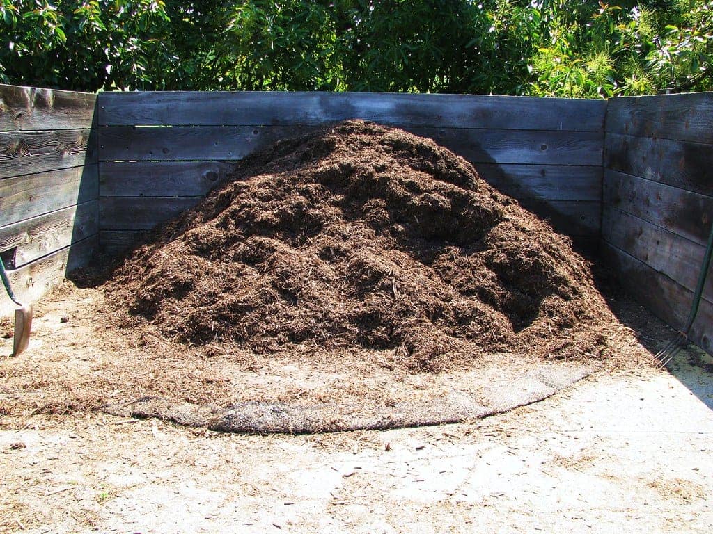Manure