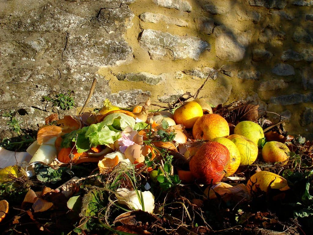 Compost